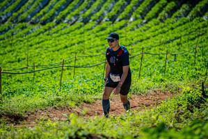 BIB: 3137
                            <button type="button" onclick="openModal(19162825)" class="btn btn-primary btn-sm float-right btn-popup" data-toggle="modal" data-target=".modal-high-quality">
                        <i class="fas fa-shopping-cart"></i> Add to Cart
                    </button>
                                            <button type="button" onclick="isThisMe(19162825, true)" class="btn btn-success btn-sm float-right btn-popup btn-isme hidden" data-toggle="tooltip" data-placement="bottom" title="นี่คือรูปของคุณใช่ไหม คลิกที่นี่เพื่อเอาเข้าอัลบั้ม">
                        <i class="fas fa-plus"></i> Add to album
                    </button>
                    <button type="button" onclick="isThisMe(19162825, false)" class="btn btn-warning btn-sm float-right btn-popup btn-isnotme hidden">
                        <i class="fas fa-ban"></i> Remove from album
                    </button>